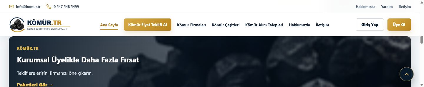 Ana sayfa orta reklam alanının ekran görüntüsü